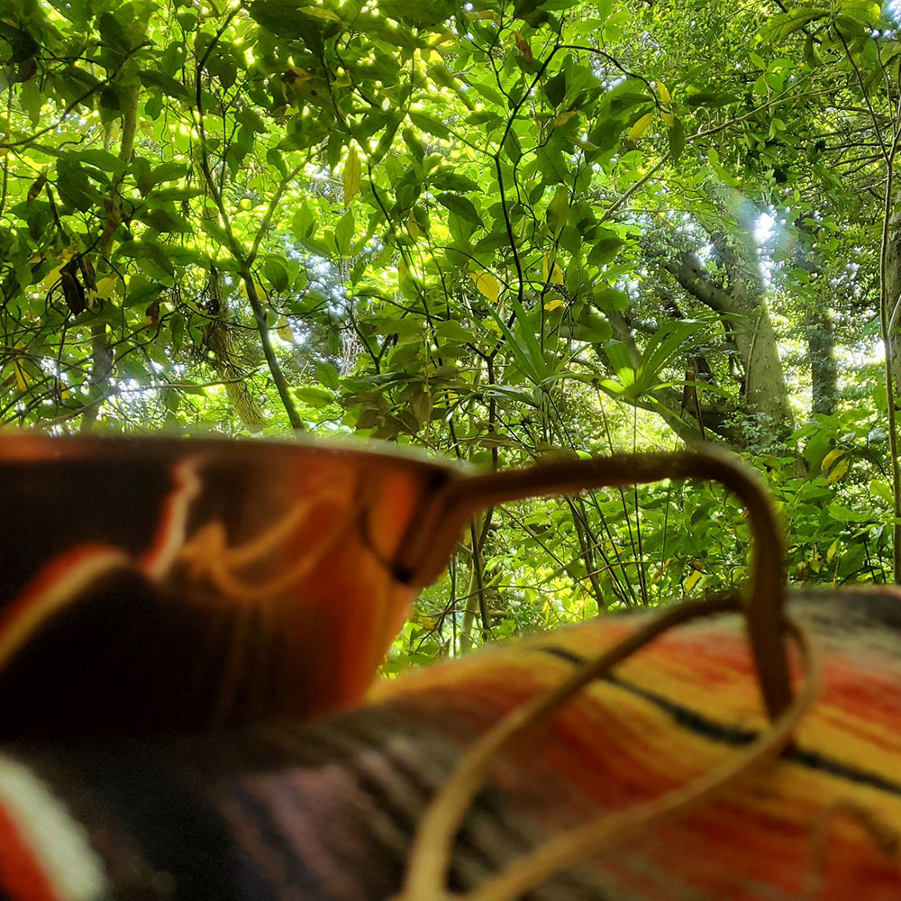 bushcraft campsite shonan takatori yokosuka kanagawa japan