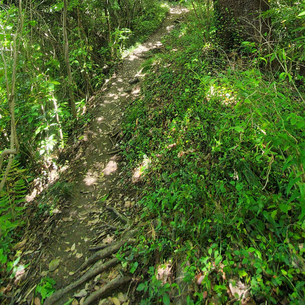 bushcraft campsite shonan takatori yokosuka kanagawa japan