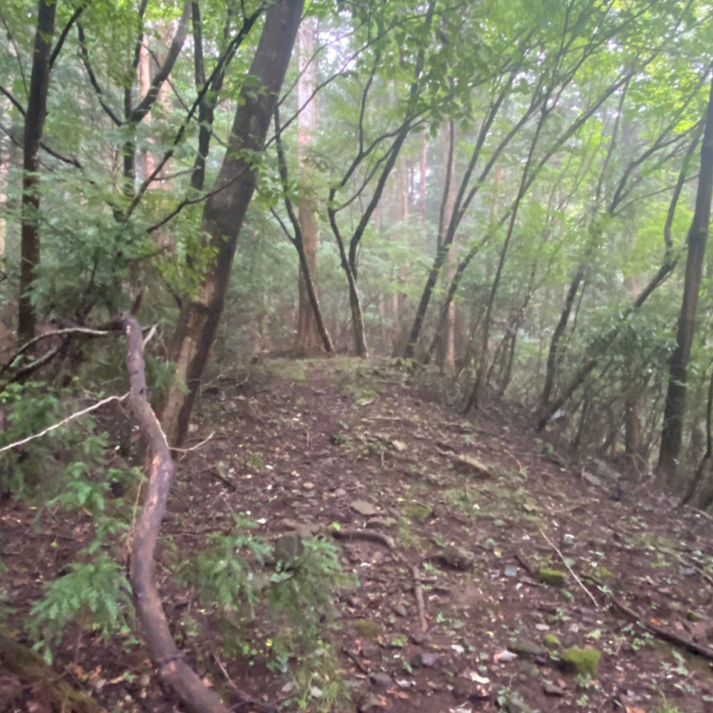 bushcraft campsite sukumogawa hakone kanagawa japan