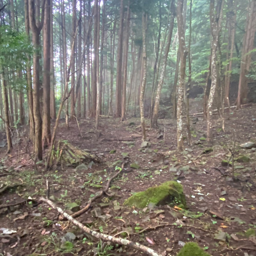 bushcraft campsite sukumogawa hakone kanagawa japan