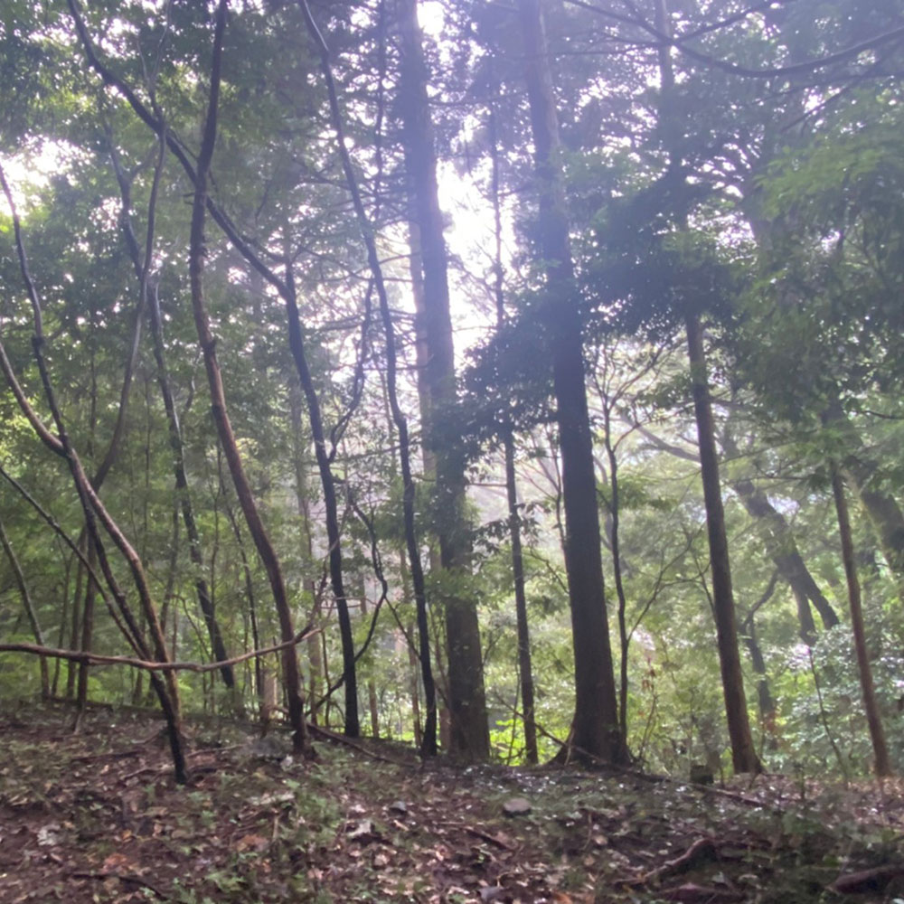 bushcraft campsite sukumogawa hakone kanagawa japan