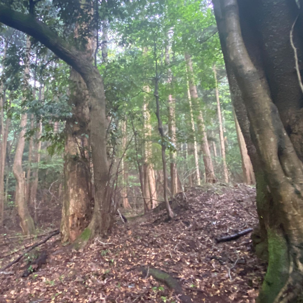 bushcraft campsite sukumogawa hakone kanagawa japan