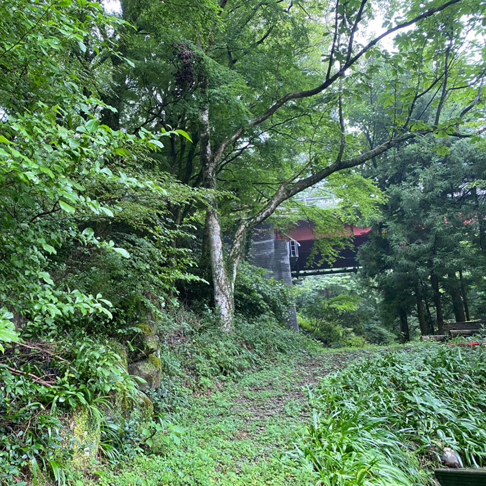 bushcraft campsite sukumogawa hakone kanagawa japan