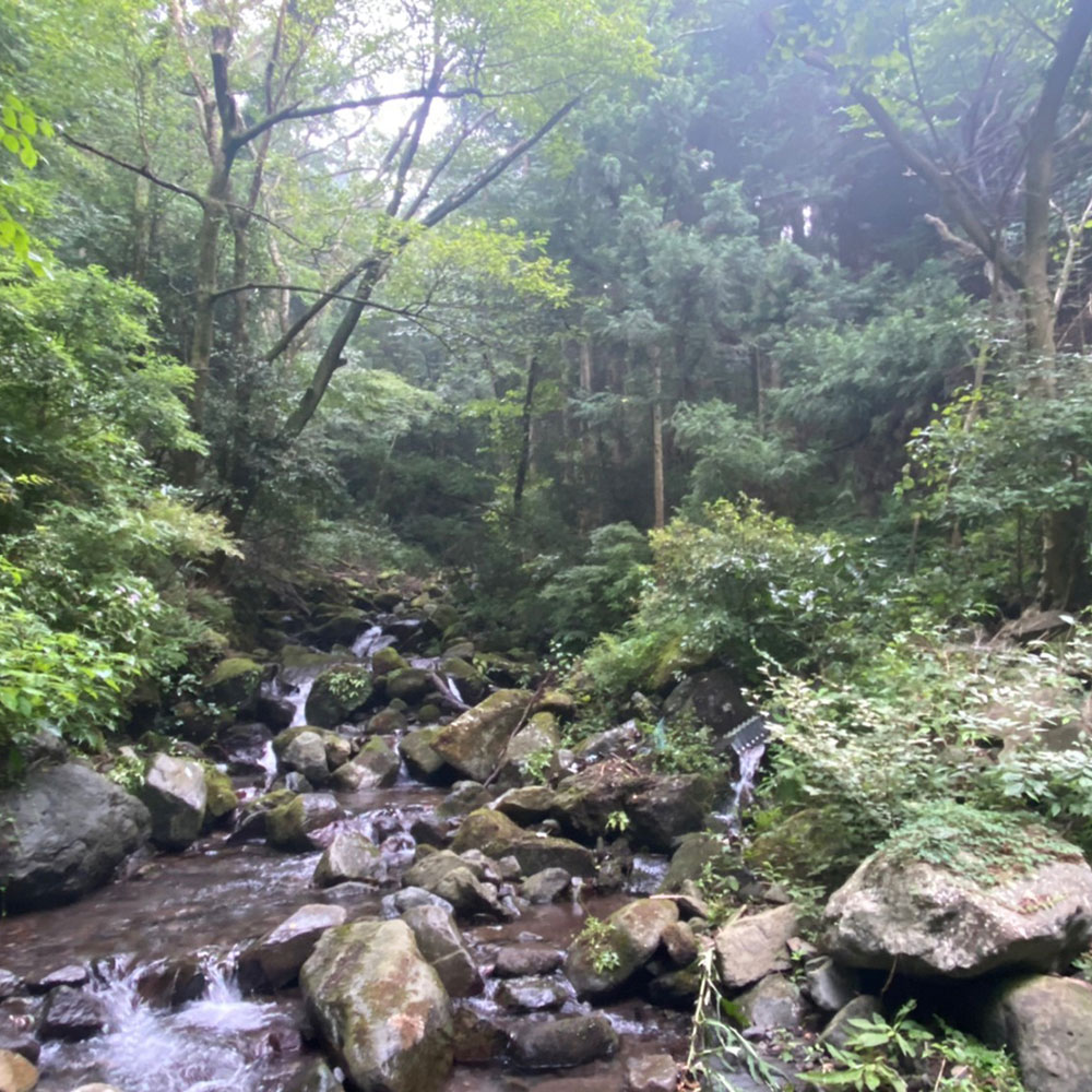 bushcraft campsite sukumogawa hakone kanagawa japan