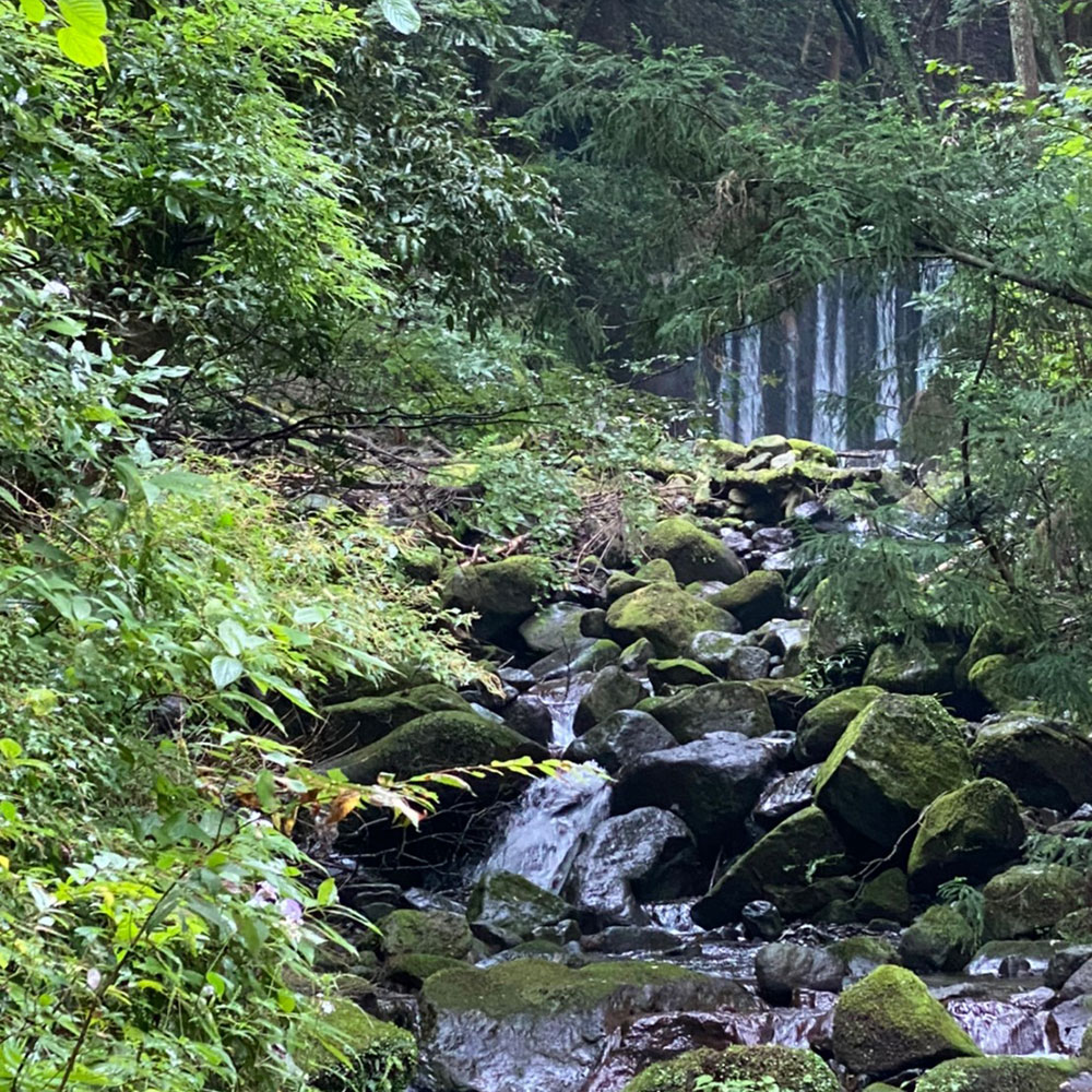 bushcraft campsite sukumogawa hakone kanagawa japan