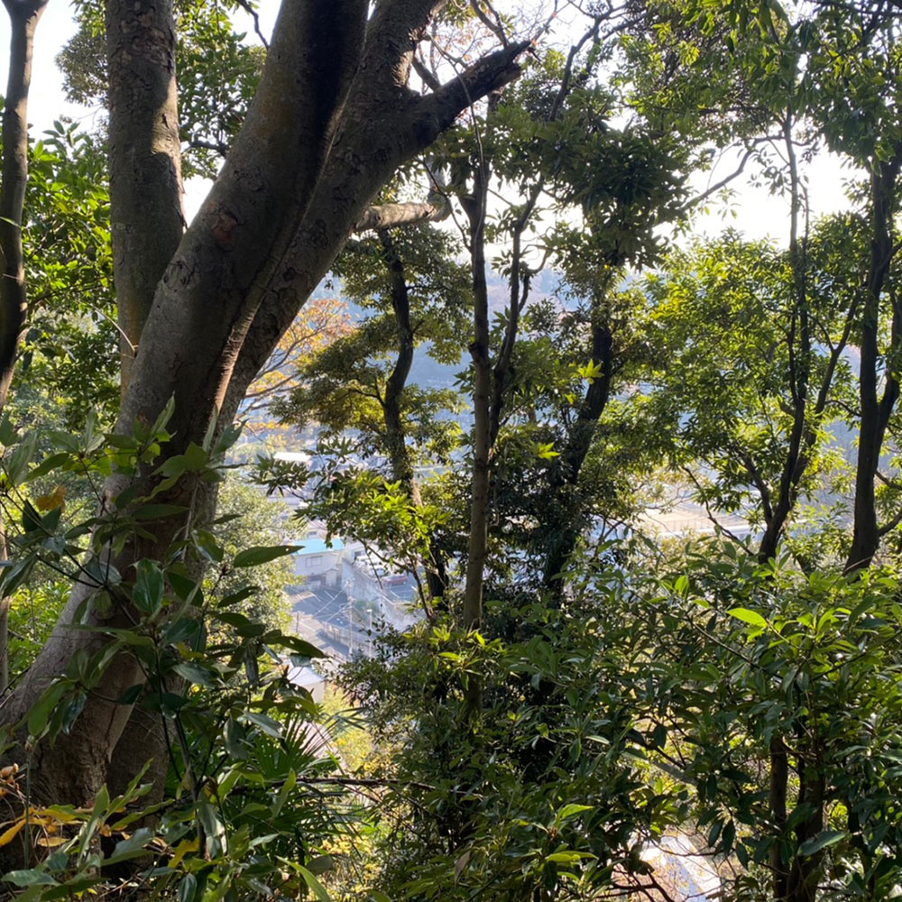 bushcraft campsite taura yokosuka kanagawa japan