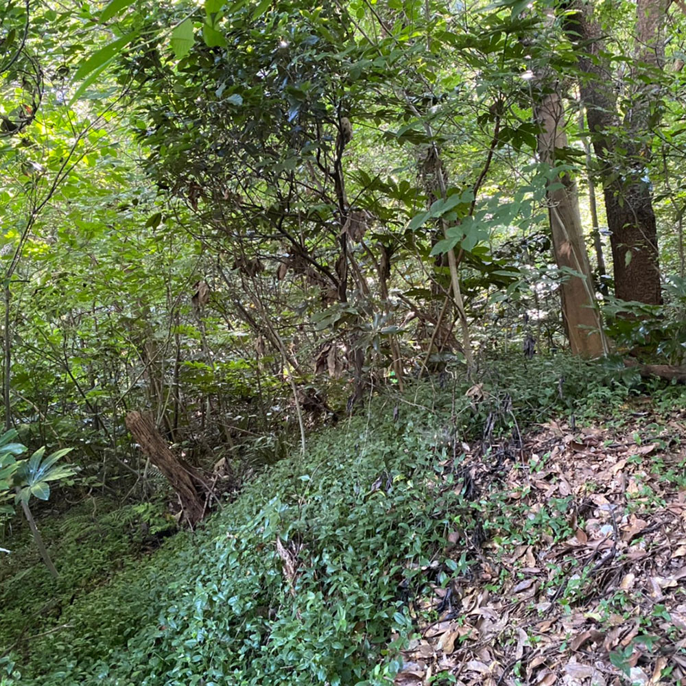 bushcraft campsite taura yokosuka kanagawa japan