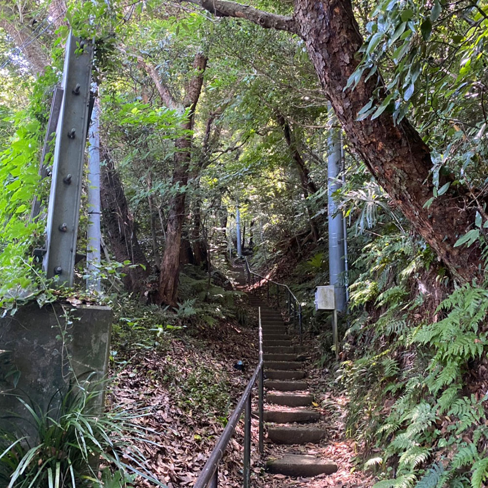 bushcraft campsite taura yokosuka kanagawa japan