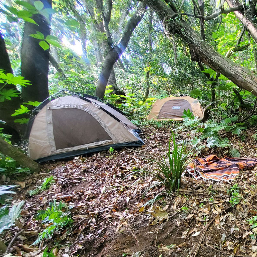 bushcraft campsite taura yokosuka kanagawa japan