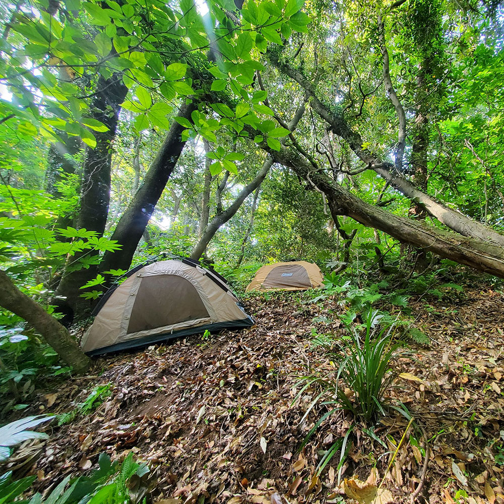 bushcraft campsite taura yokosuka kanagawa japan
