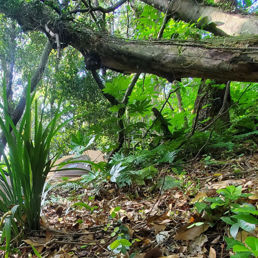 bushcraft campsite taura yokosuka kanagawa japan