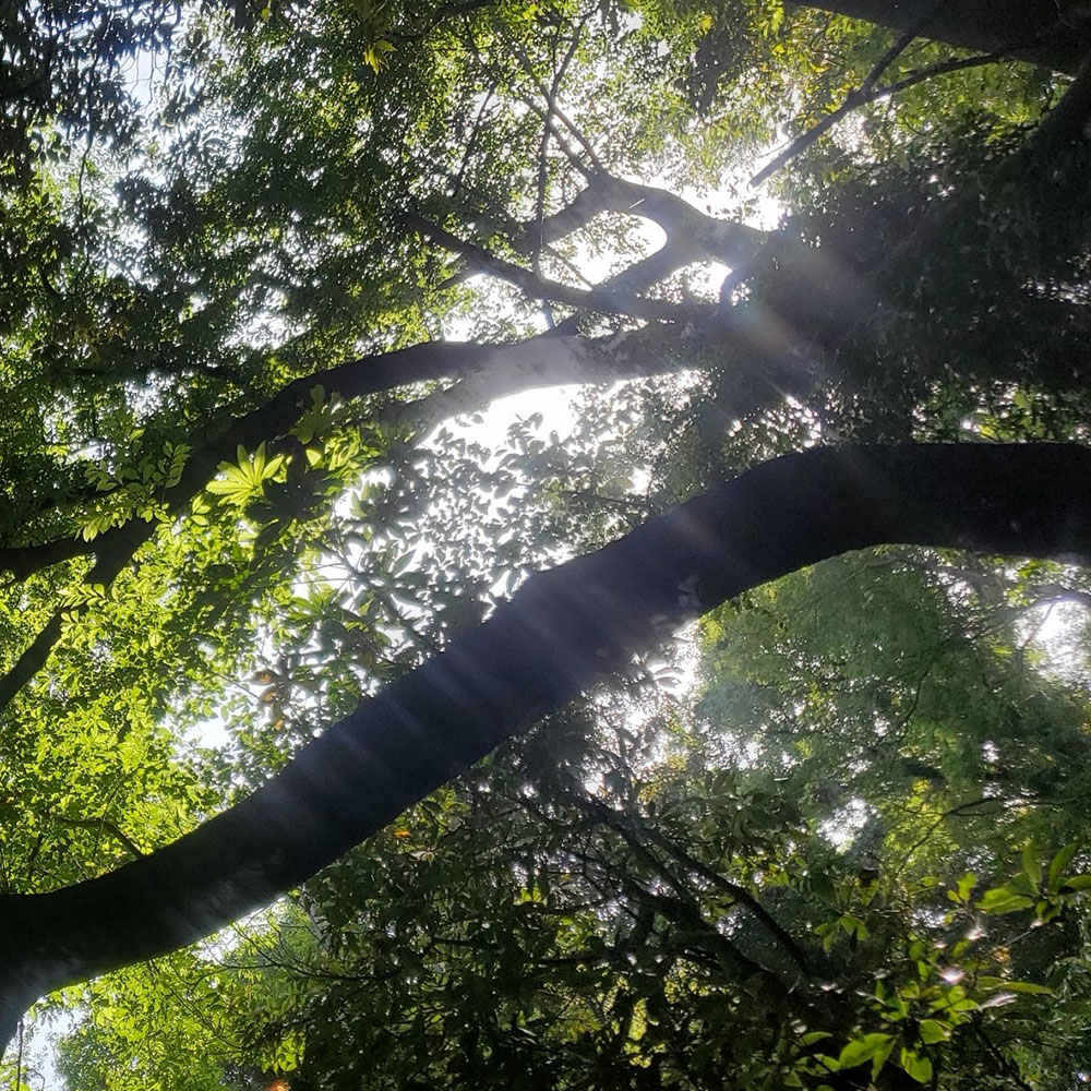 bushcraft campsite taura yokosuka kanagawa japan