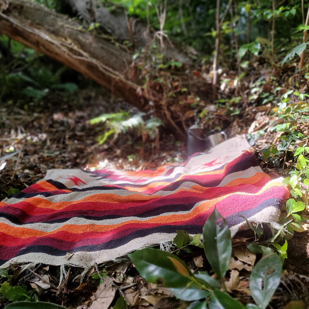 bushcraft campsite taura yokosuka kanagawa japan