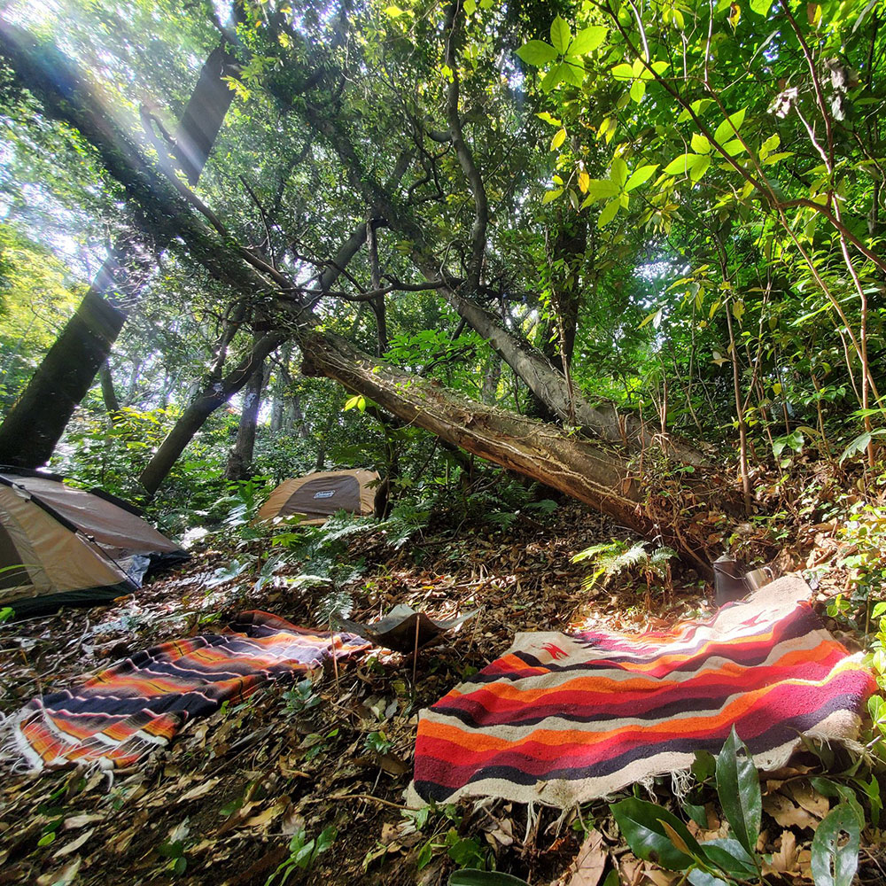 bushcraft campsite taura yokosuka kanagawa japan