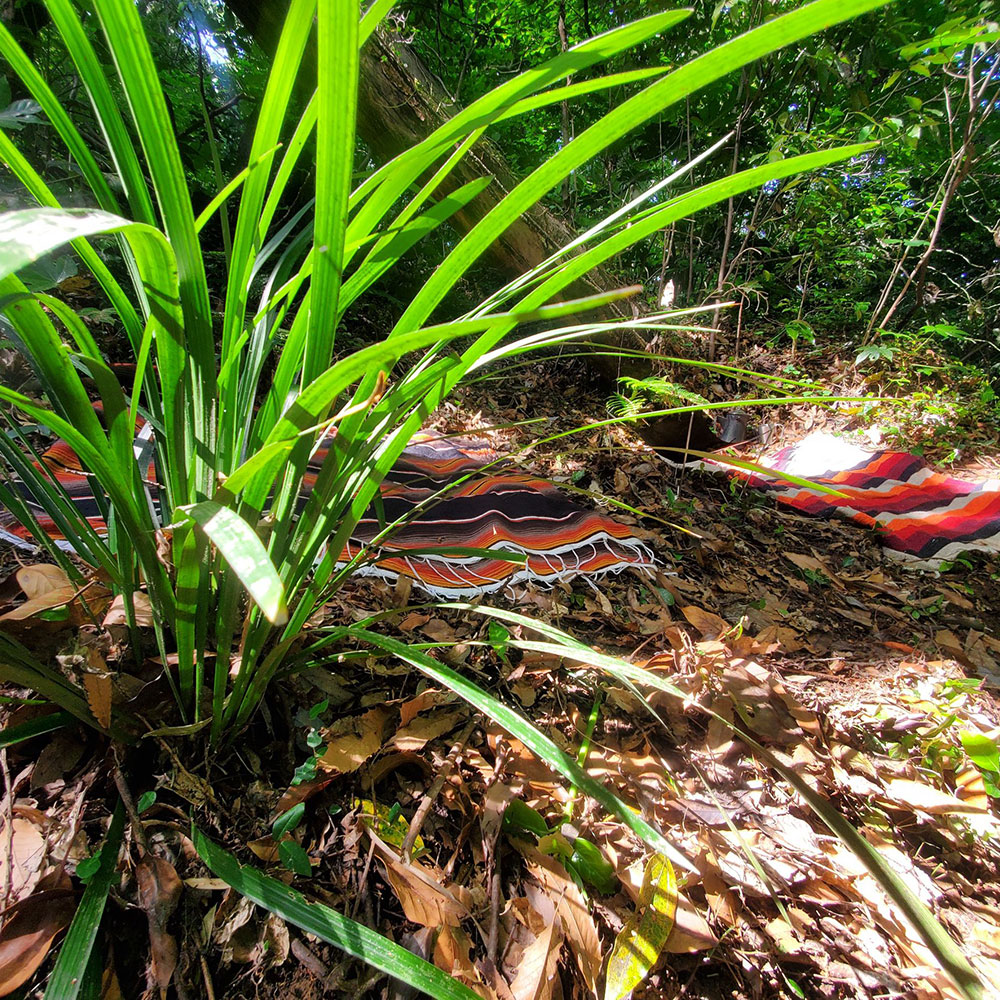 bushcraft campsite taura yokosuka kanagawa japan