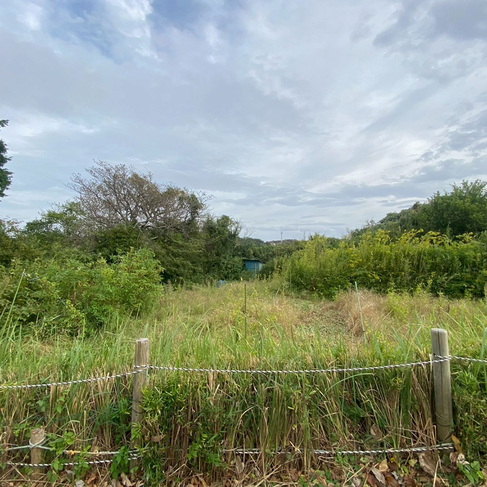 bushcraft campsite taura umenosato yokosuka kanagawa  japan