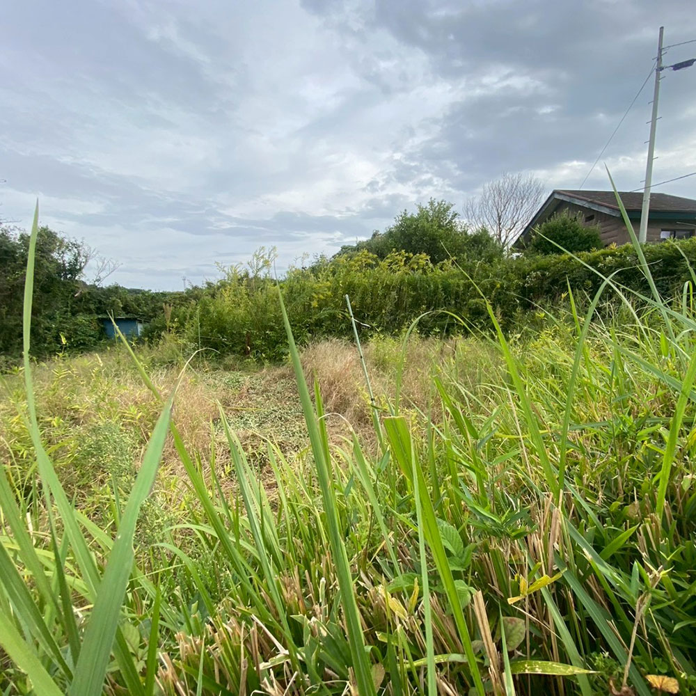 bushcraft campsite taura umenosato yokosuka kanagawa  japan