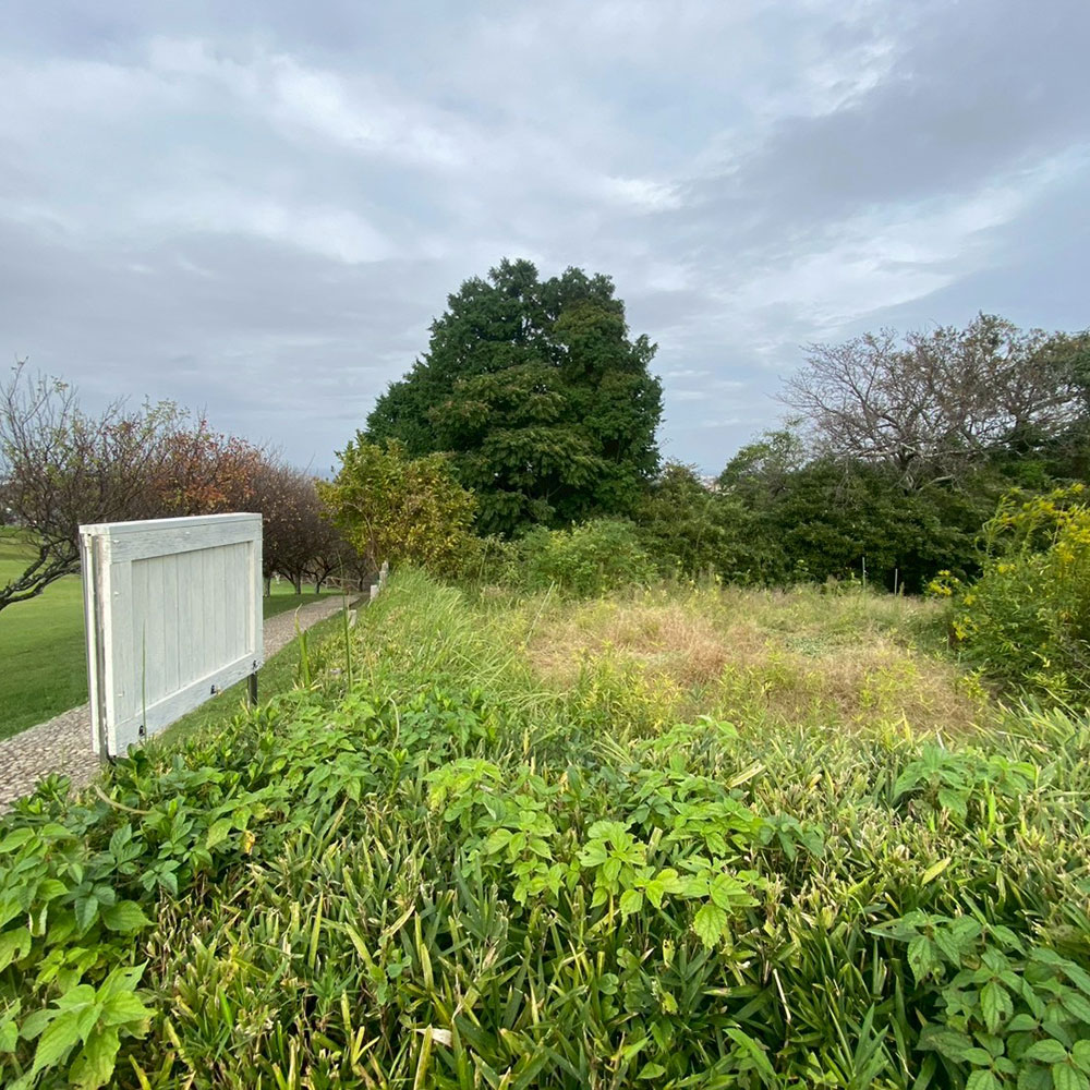 bushcraft campsite taura umenosato yokosuka kanagawa  japan