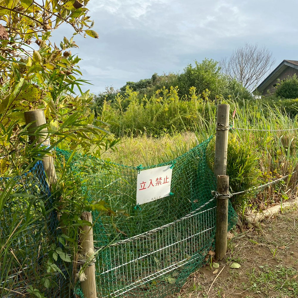 bushcraft campsite taura umenosato yokosuka kanagawa  japan