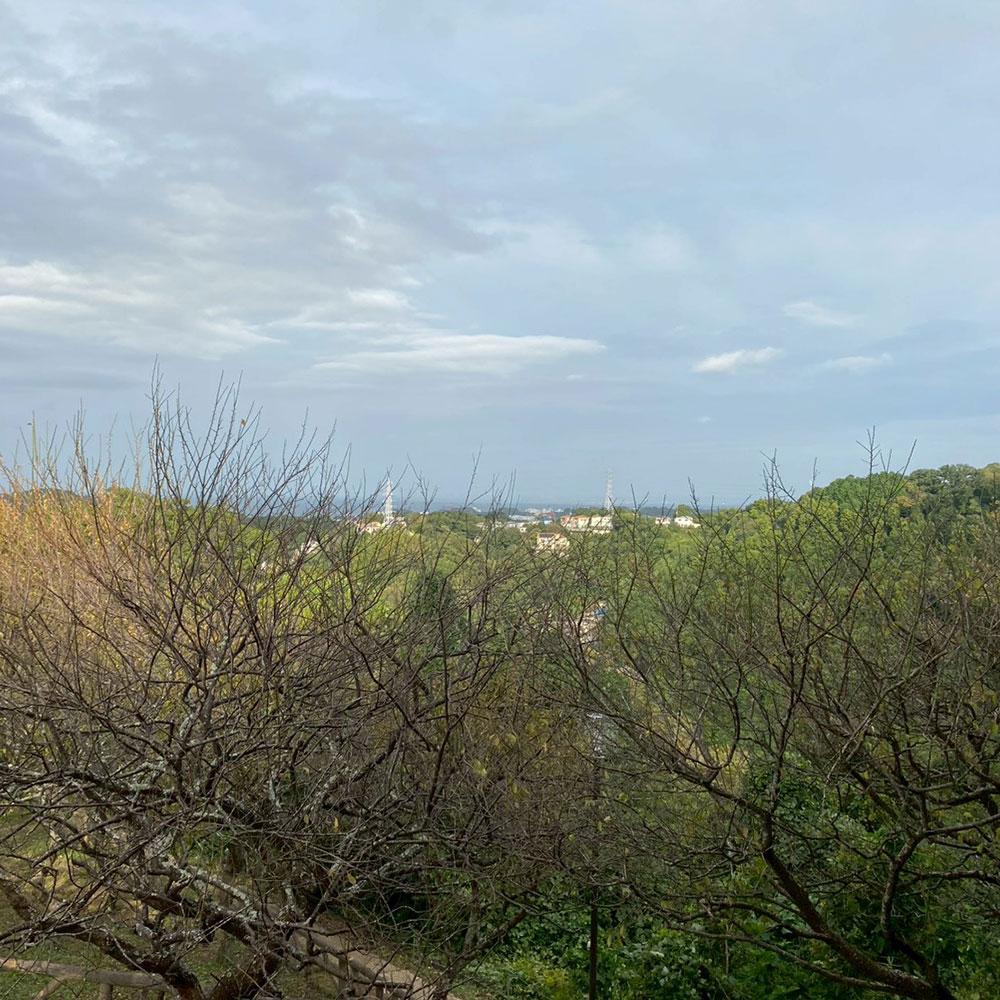 bushcraft campsite taura umenosato yokosuka kanagawa  japan