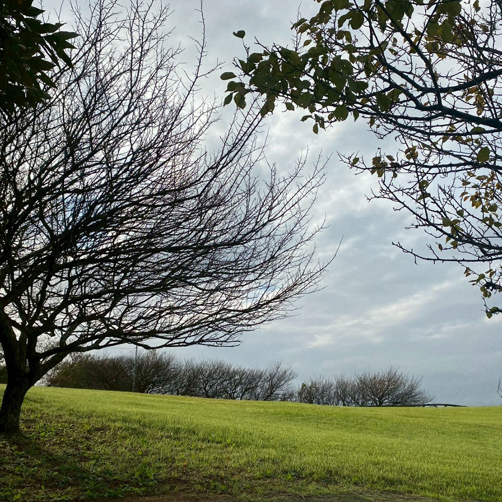 bushcraft campsite taura umenosato yokosuka kanagawa  japan