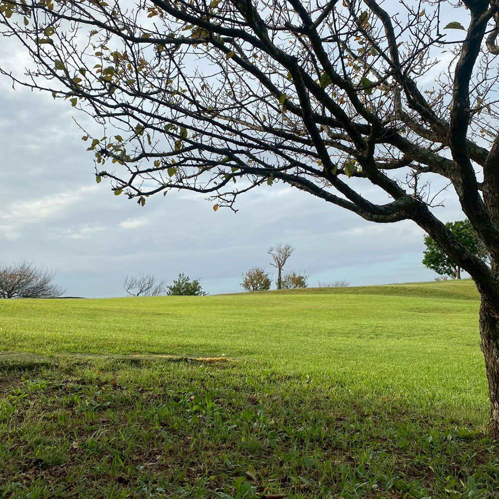 bushcraft campsite taura umenosato yokosuka kanagawa  japan