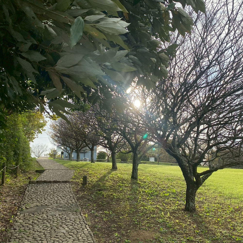 bushcraft campsite taura umenosato yokosuka kanagawa  japan