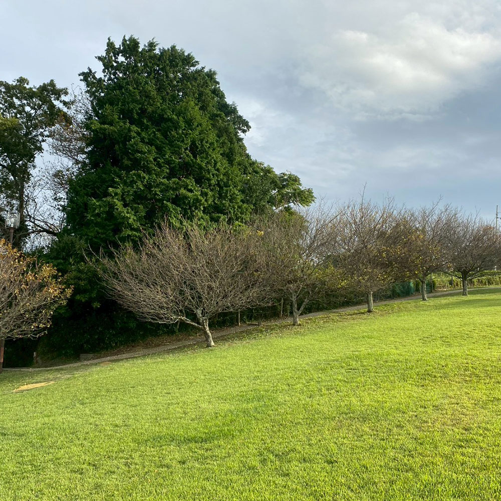 bushcraft campsite taura umenosato yokosuka kanagawa  japan