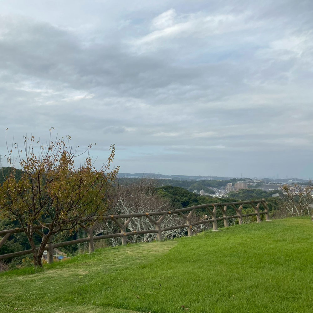 bushcraft campsite taura umenosato yokosuka kanagawa  japan