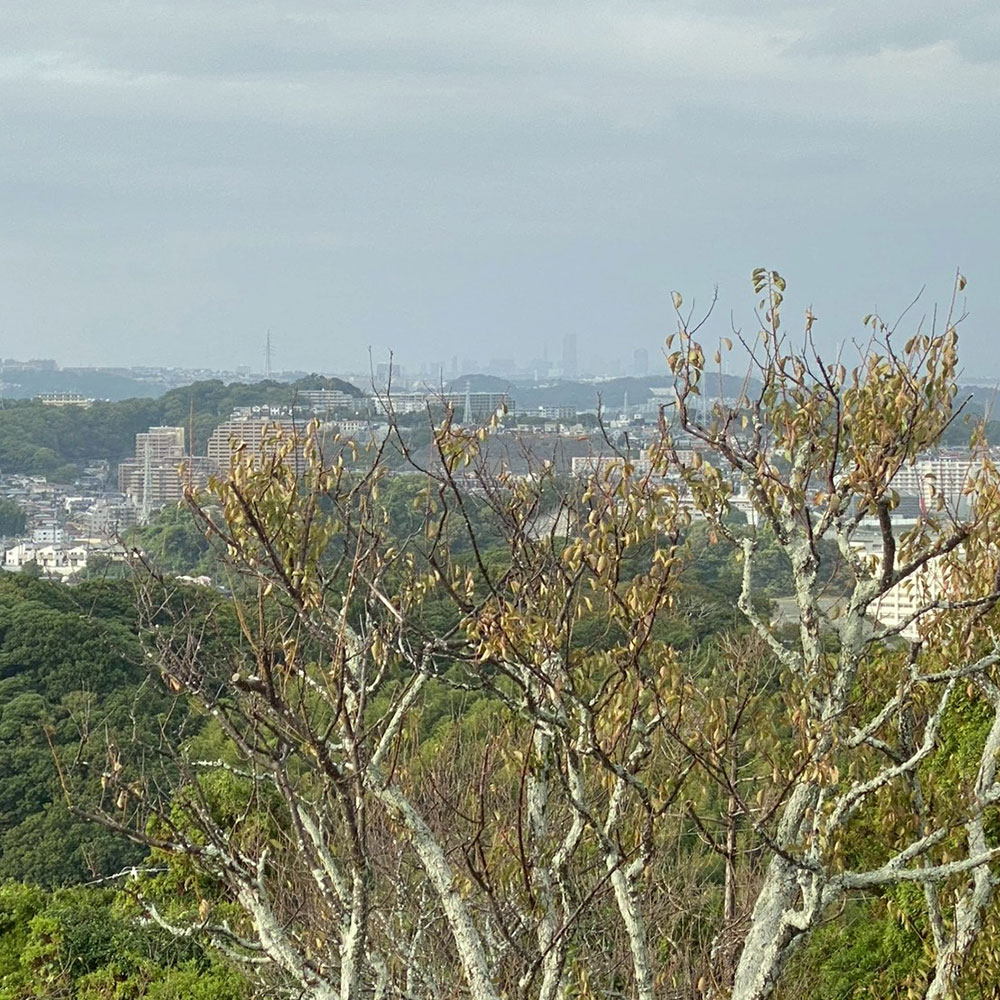 bushcraft campsite taura umenosato yokosuka kanagawa  japan