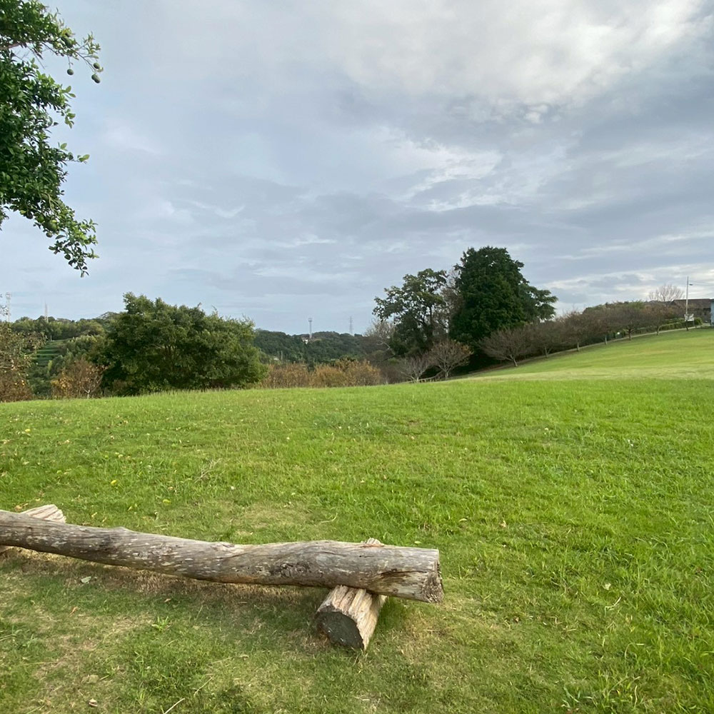 bushcraft campsite taura umenosato yokosuka kanagawa  japan