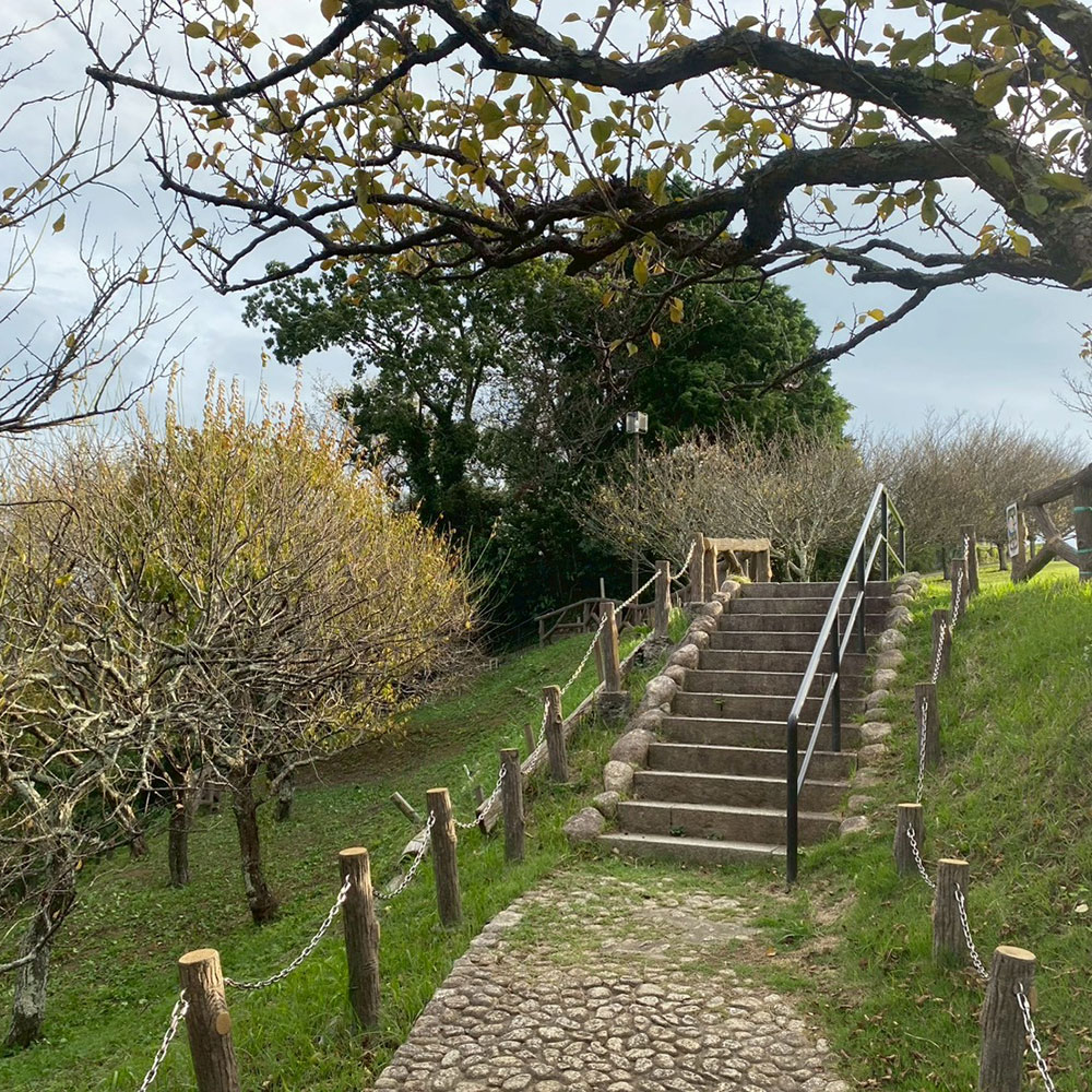 bushcraft campsite taura umenosato yokosuka kanagawa  japan