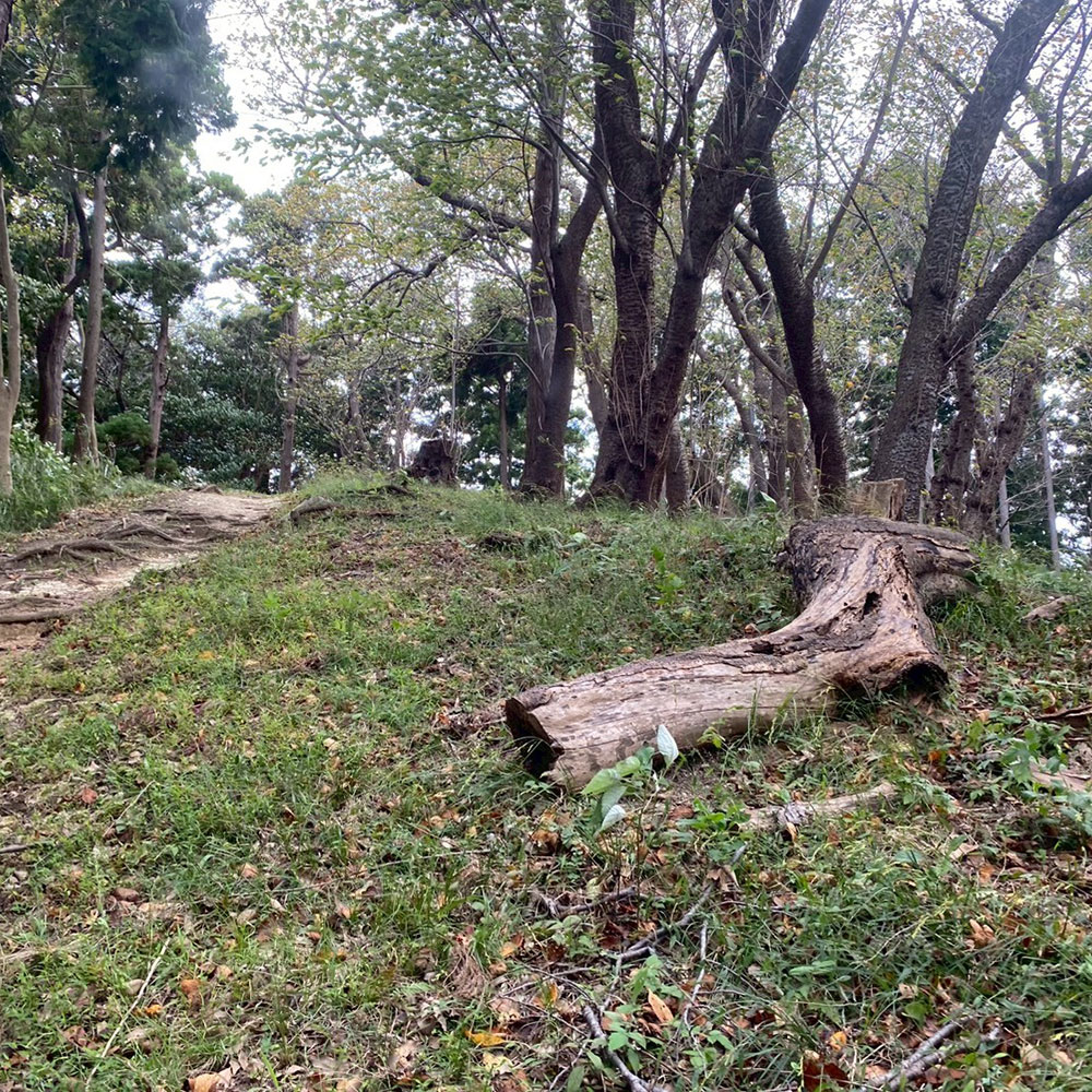 bushcraft campsite taura umenosato yokosuka kanagawa  japan