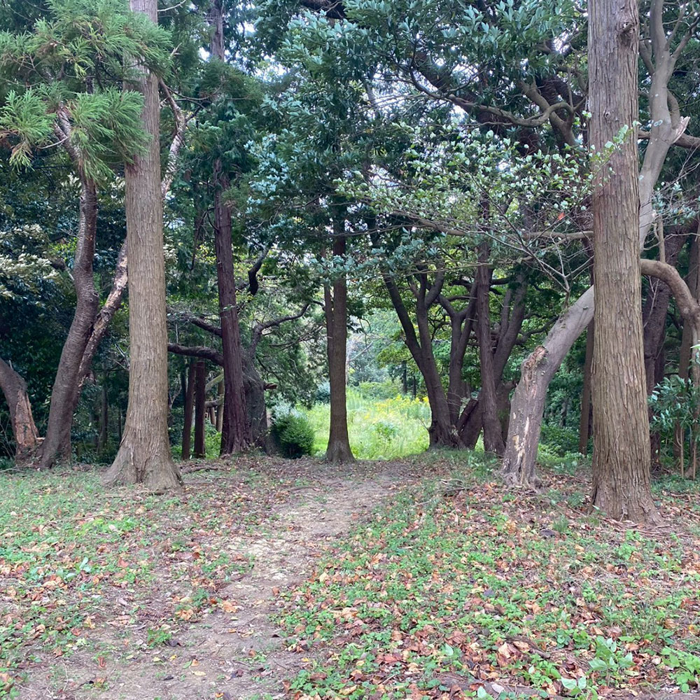 bushcraft campsite taura umenosato yokosuka kanagawa  japan