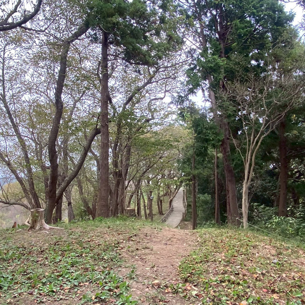 bushcraft campsite taura umenosato yokosuka kanagawa  japan