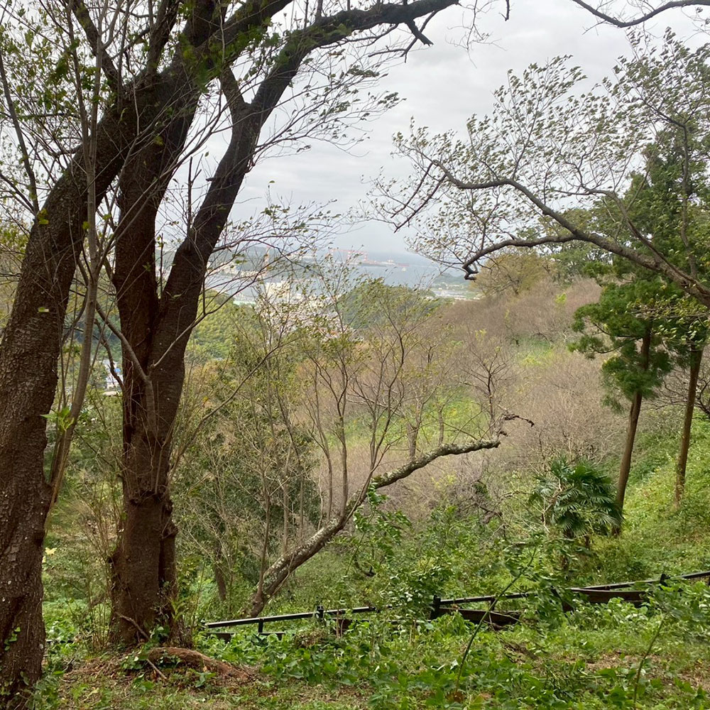 bushcraft campsite taura umenosato yokosuka kanagawa  japan