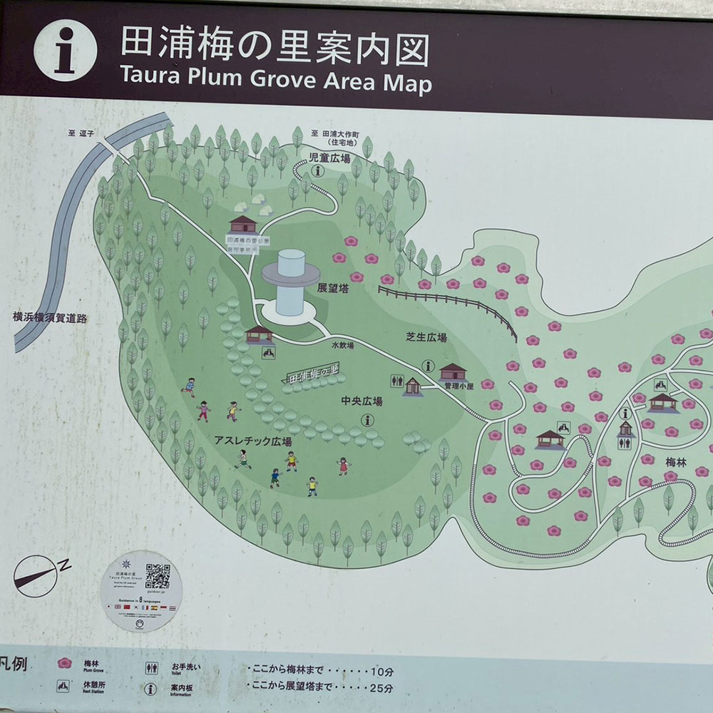 bushcraft campsite taura umenosato yokosuka kanagawa  japan