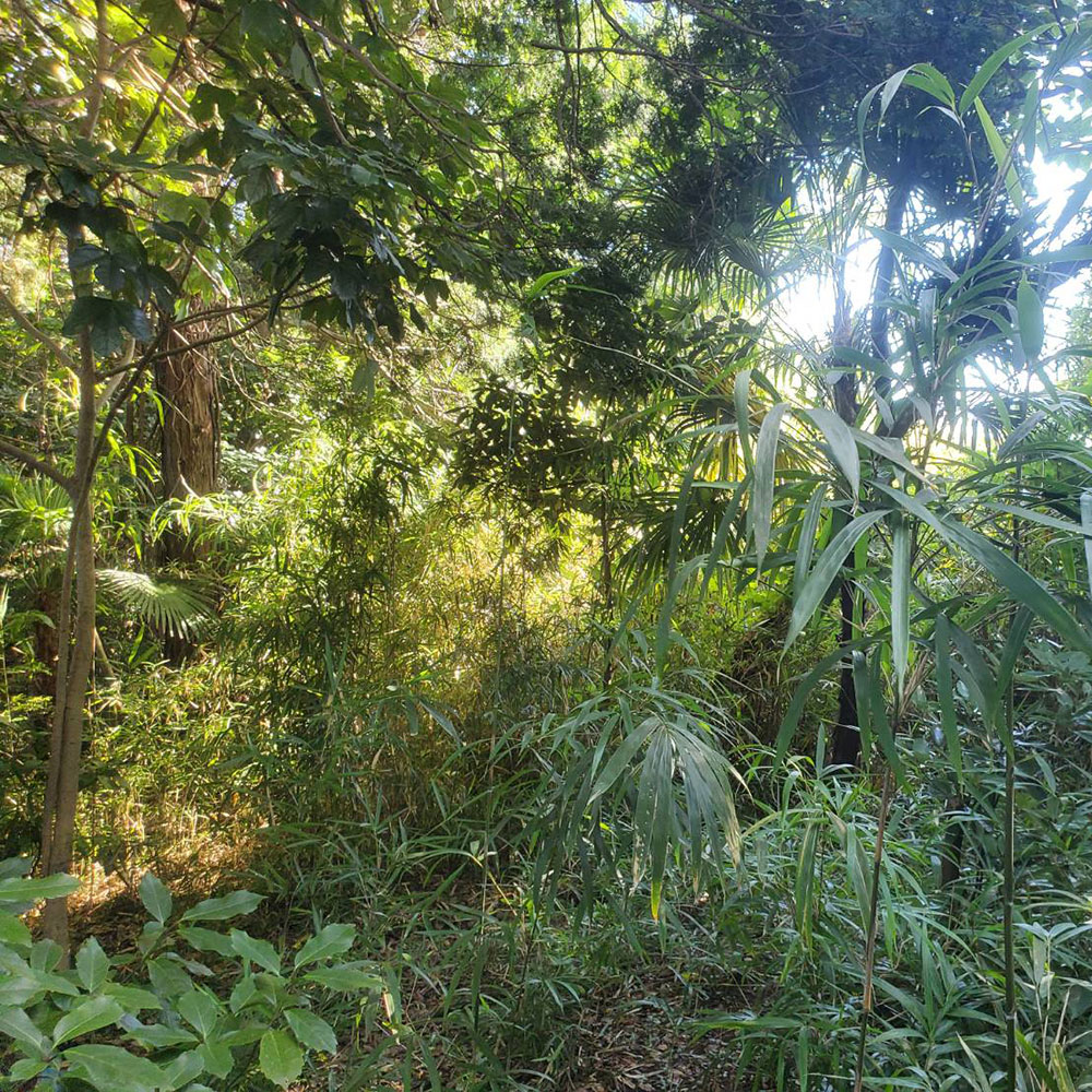 bushcraft campsite maioka totsuka yokohama  kanagawa japan