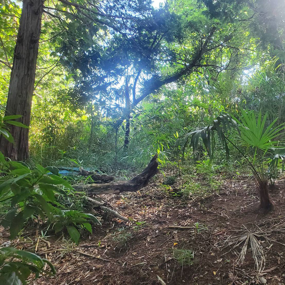 bushcraft campsite maioka totsuka yokohama  kanagawa japan