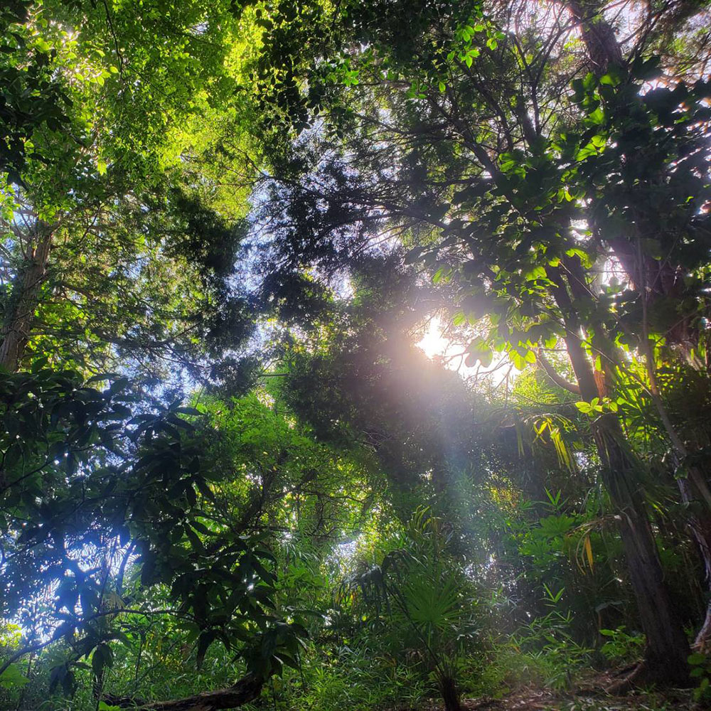 bushcraft campsite maioka totsuka yokohama  kanagawa japan