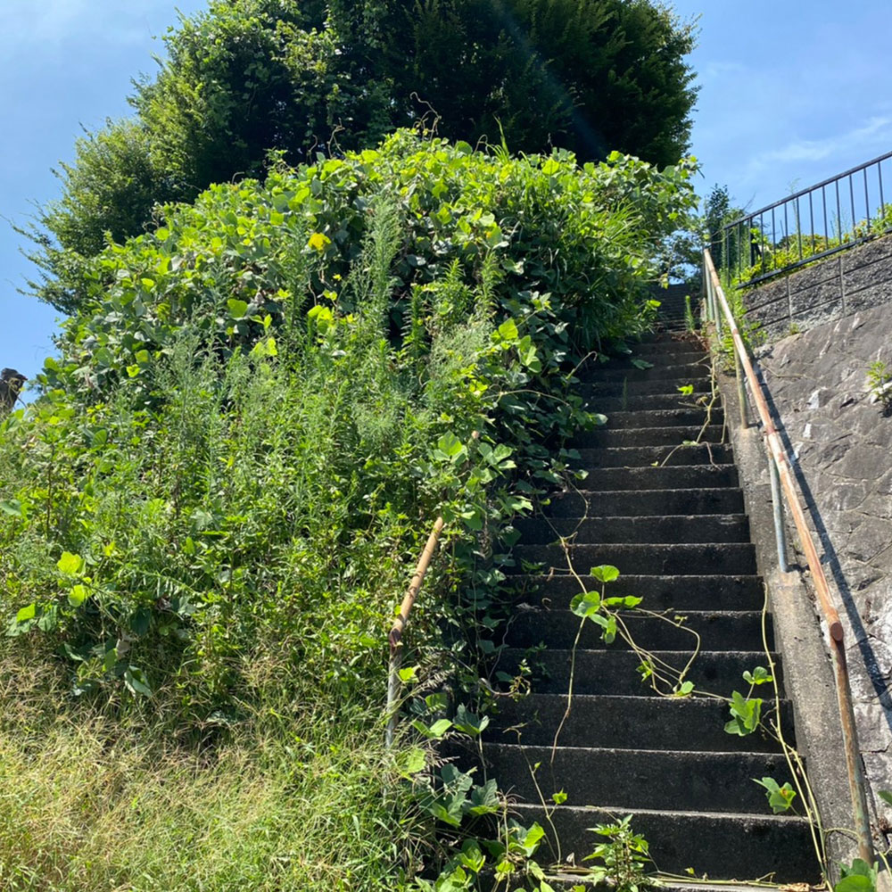bushcraft campsite maioka totsuka yokohama  kanagawa japan