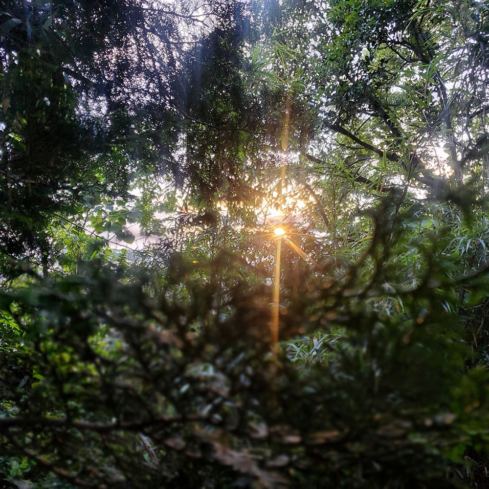 bushcraft campsite maioka totsuka yokohama  kanagawa japan