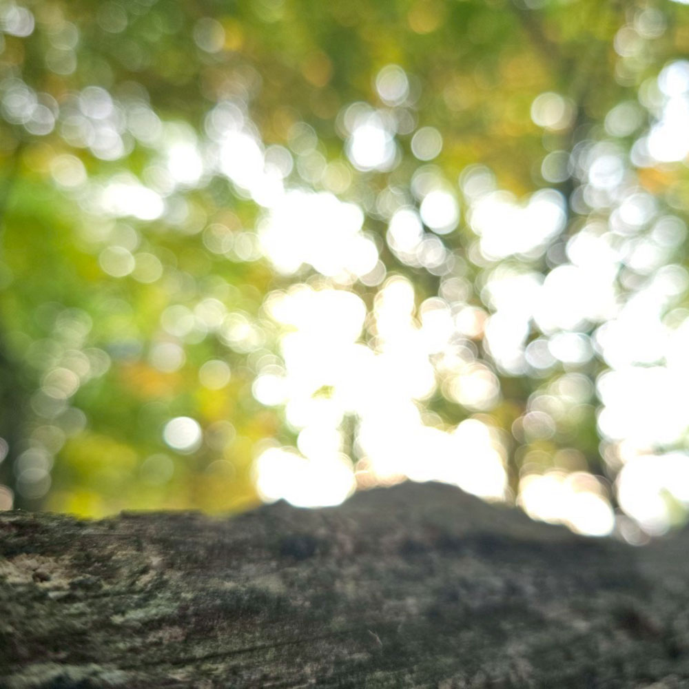 bushcraft campsite tsumagoi nagano japan