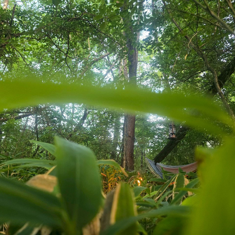 bushcraft campsite tsumagoi nagano japan