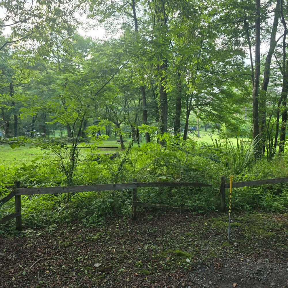 bushcraft campsite tsumagoi nagano japan