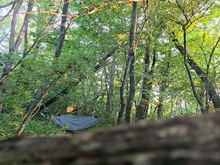 長野県吾妻郡長野原町ブッシュクラフトキャンプ場