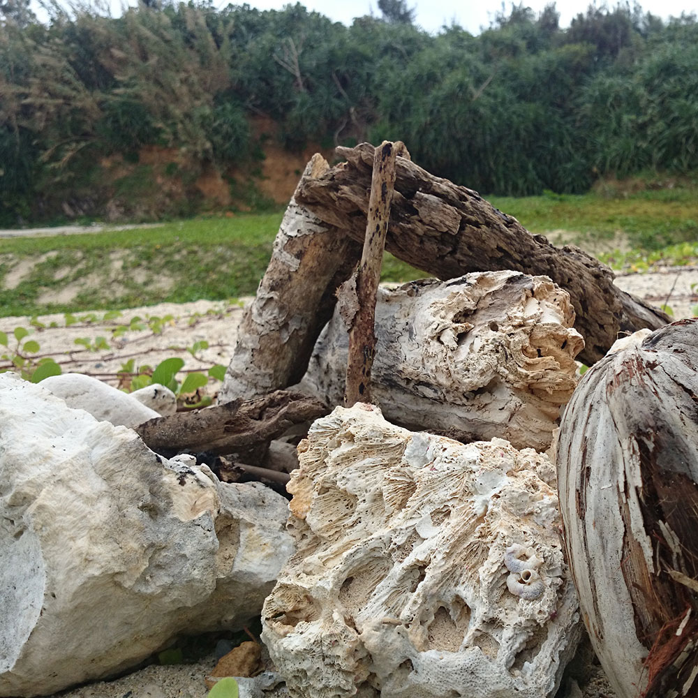 bushcraft campsite uppama beach gesashi higashison  okinawa japan