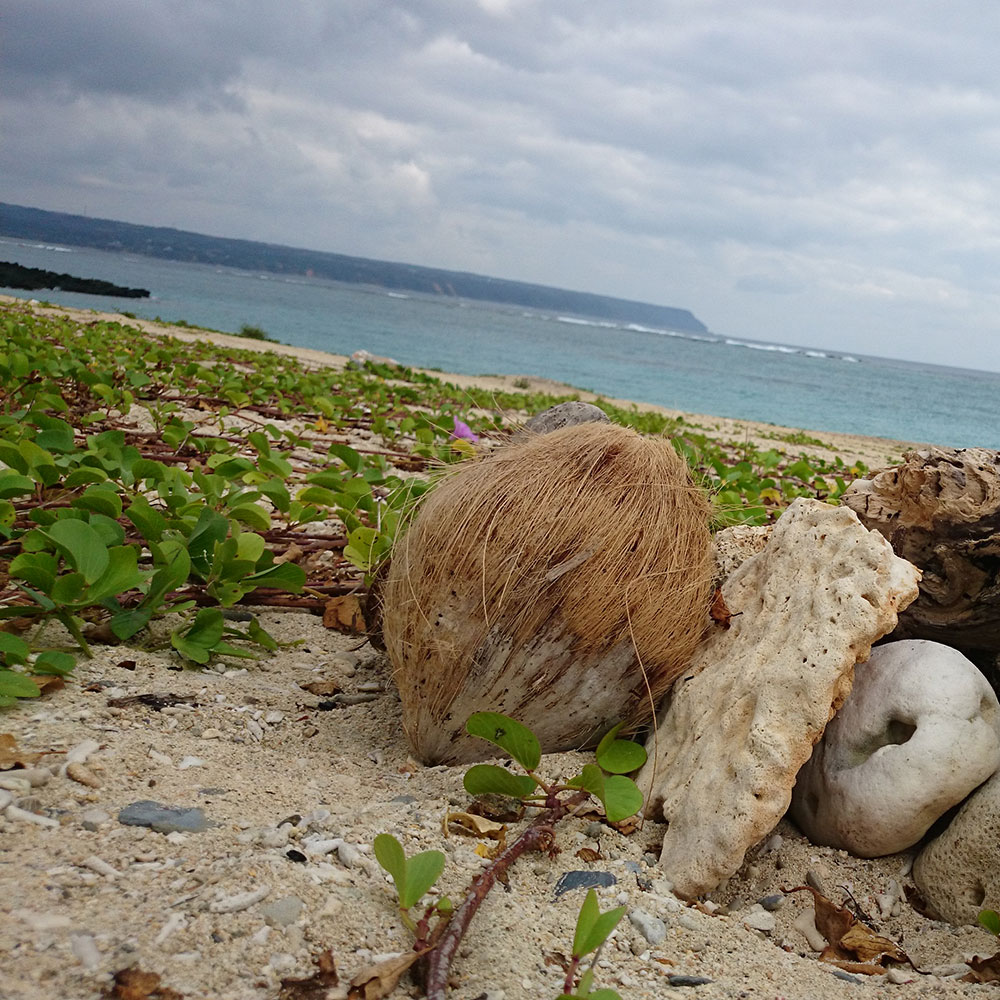 bushcraft campsite uppama beach gesashi higashison  okinawa japan
