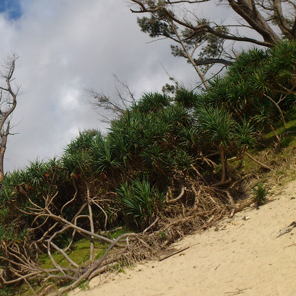 bushcraft campsite uppama beach gesashi higashison  okinawa japan