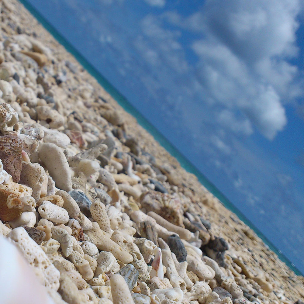 bushcraft campsite uppama beach gesashi higashison  okinawa japan